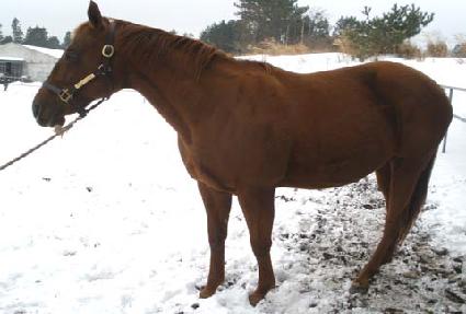 �÷�Ű��ε� ����