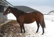 BIOGIO'S BEAUTY picture