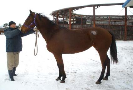 �������۷ο� ����