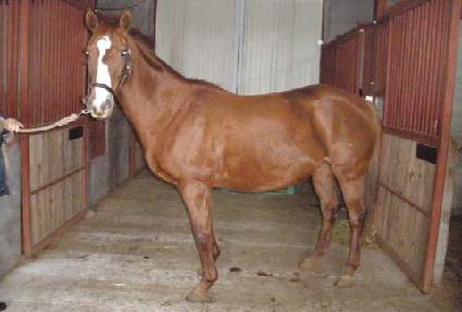 ��絥�� ����