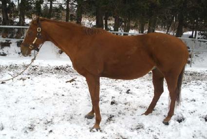 �븮��Ʈ�� ����