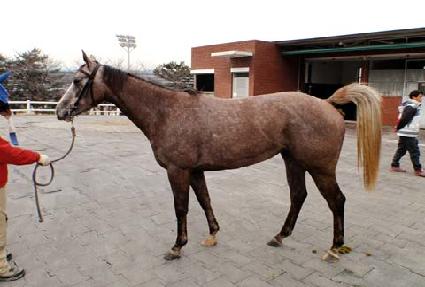 �ö������� ����