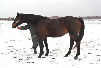 �糪�ݷδ� ����