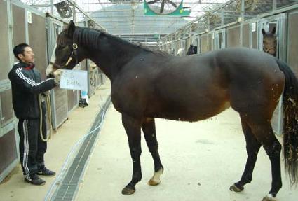 ���������� ����