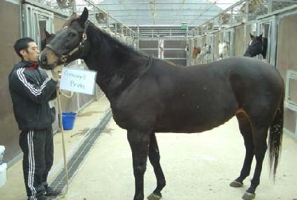 �׷����������̵� ����