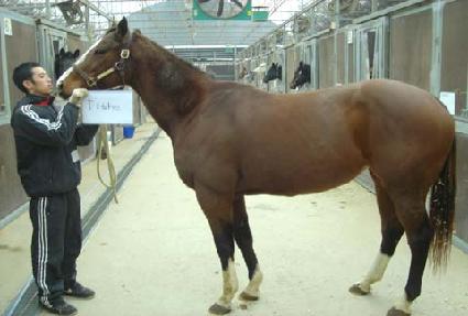 Ÿ�̾� ����