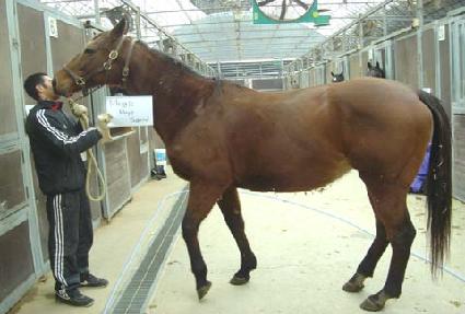 �ű������ҵ� ����