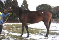 �ʴ���Ʈ (FEEL THE HEAT) ����