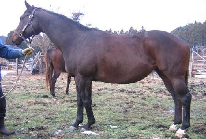 �̽���õ帮�� ����