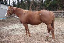 �������� (AERIAL MEETING) ����