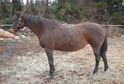 ��ġ������ ����