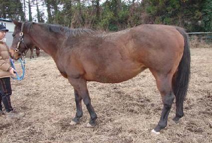 ������ũ�� ����