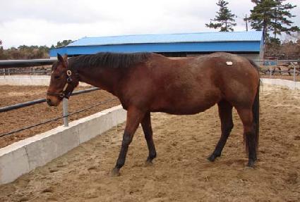 ����Ʈ��� ����