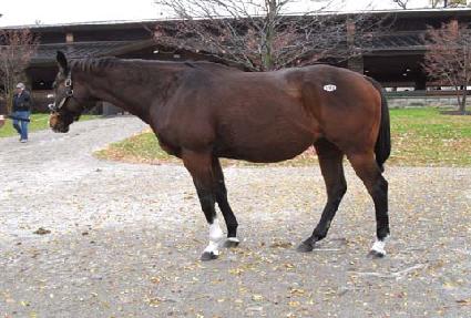 ��ġ����� ����