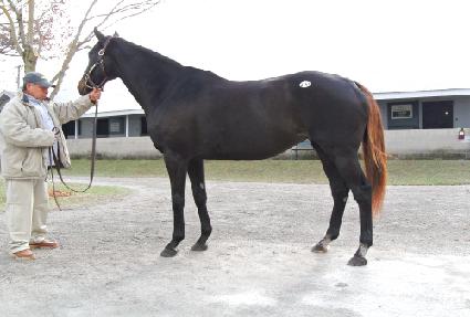 ���ε� ����