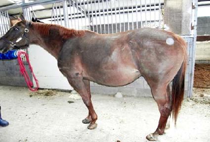 ��ú��� ����