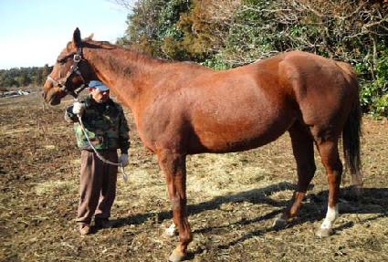 ������Ŭ�󸮻� ����