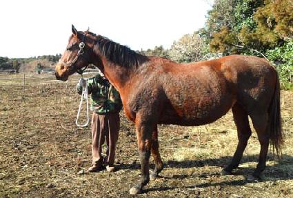 �ú����ٿ� ����