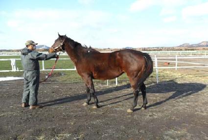 �ǹ�����ƾ ����