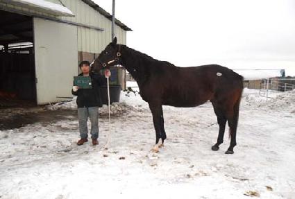 ��ƿ�� ����