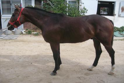 ġ��õ�� ����