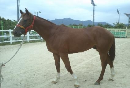 ��׽ô� ����