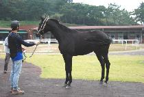 �������� (SUSEONG YEOJE) ����