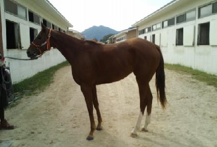 ������ ����