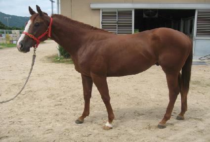 ����Ʈ�� ����