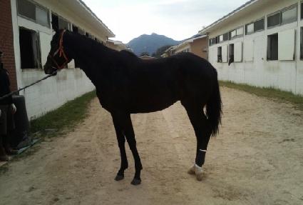 Ÿ����Ʈ ����