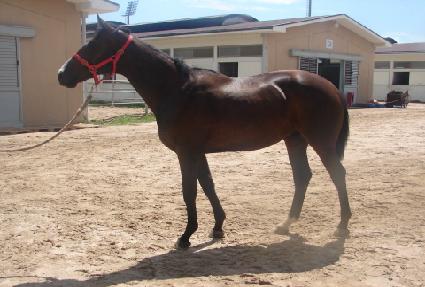 �׹�����ȣũ ����