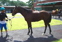 ���ر¼� (DONGHAE GOOD SHOW) ����