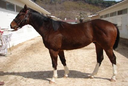 ��Ƽ���� ����