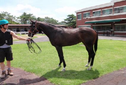 �����ķν� ����