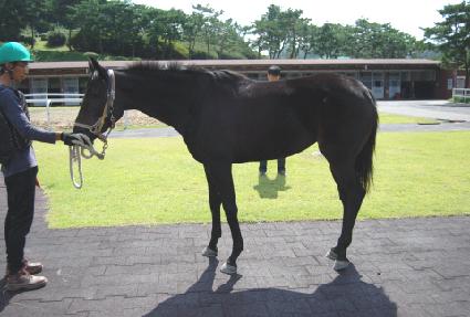 �ν»� ����