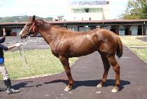 ��� (DAEEOP) ����