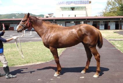 ��� ����