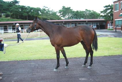 ȭ��Ʈ�ֵ�� ����