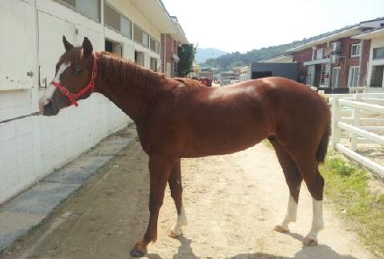 �ս��ǵ� ����