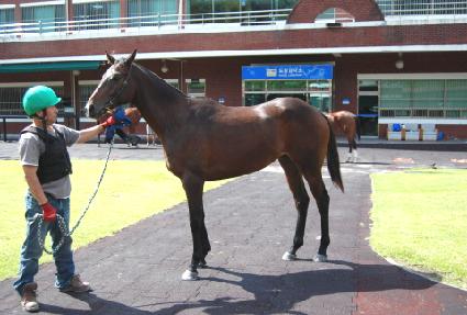 �������� ����