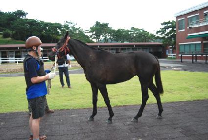 ���δٸ��� ����