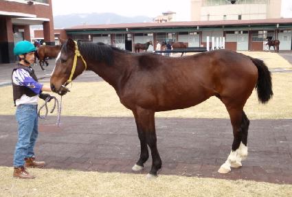 ������������ ����