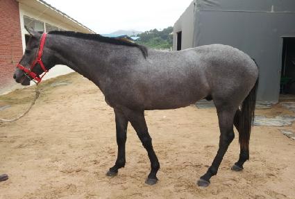 ����Ű ����