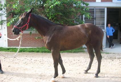 �ٸ���ķ�� ����