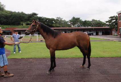 �����ν����� ����