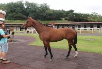 �����۷��̵� (SEONGGONG PARADE) ����