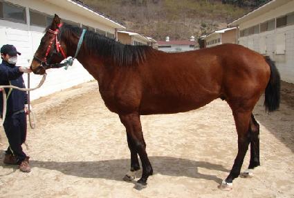 �̽��ͳ�� ����