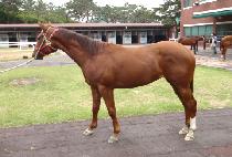 ��Ʈ����̾� (FORT BRIAN) ����