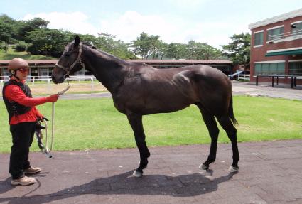 �뵿è�� ����