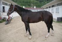 ��ĸ���� (WELL CAP JOY) ����